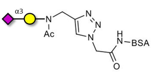 GM4 Ganglioside oligosaccharide grafted on BSA (Linker-BSA B) - 3-Sialylgalactose