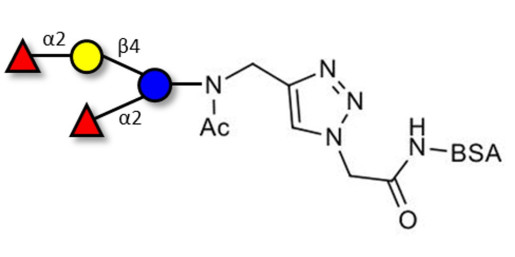 2',2-Difucosyllactose grafted on BSA (Linker-BSA B) - 2',2-DFL