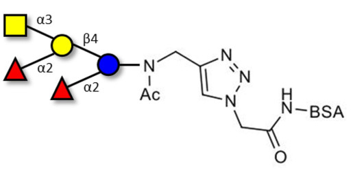 Fucosyl A antigen pentaose type 6 grafted on BSA (Linker-BSA B)