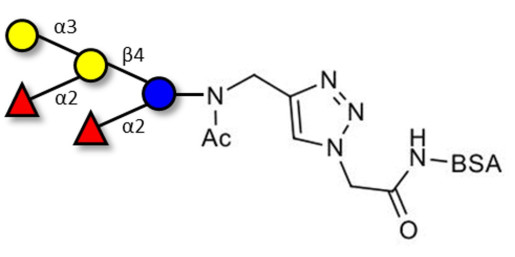 Fucosyl B antigen pentaose type 6 grafted on BSA (Linker-BSA B)