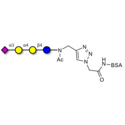 Sialylated globotriose grafted on BSA (Linker-BSA B)