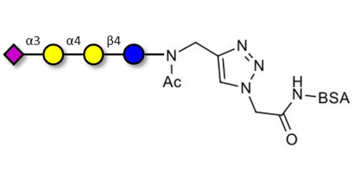 Sialylated globotriose grafted on BSA (Linker-BSA B) - 3Sialyl-Gb3