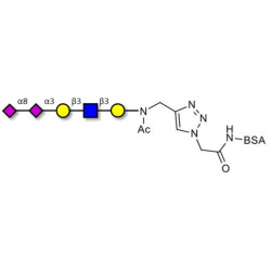 Disialylated pentaose type 1 grafted on BSA (Linker-BSA B)