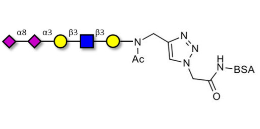 Disialylated pentaose type 1 grafted on BSA (Linker-BSA B)