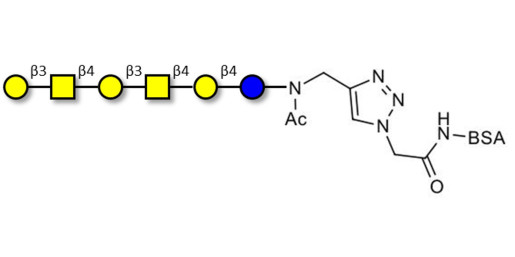GalGalNAc-asialo GM1 Ganglioside oligosaccharide grafted on BSA (Linker-BSA B) - GalGalNac-aGM1