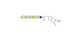 GalGalNAc-asialo GM1 Ganglioside oligosaccharide grafted on BSA (Linker-BSA B) - GalGalNac-aGM1
