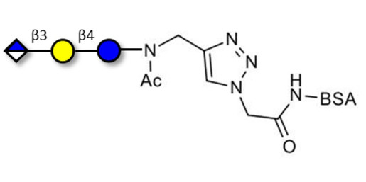 Glucuronyl-lactose grafted on BSA (Linker-BSA B) - HNK 1 epitope precursor
