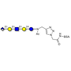 Glucuronyl-Lacto-N-tetraose grafted on BSA (Linker-BSA B)