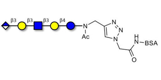 Glucuronyl-Lacto-N-tetraose grafted on BSA (Linker-BSA B) - Glucuronyl-LNT