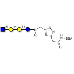 Globotetraose (Gb4) analogue grafted on BSA (Linker-BSA B)