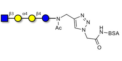 Globotetraose (Gb4) analogue grafted on BSA (Linker-BSA B) - Gb4 analogue