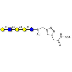 Globopentaose (Gb5) analogue type 1 grafted on BSA (Linker-BSA B)
