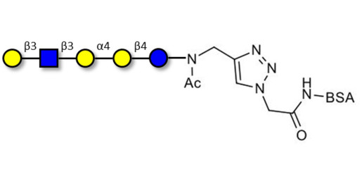 Globopentaose (Gb5) analogue type 1 grafted on BSA (Linker-BSA B) - Gb5 analogue type 1