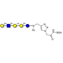 Globopentaose (Gb5) analogue type 2 grafted on BSA (Linker-BSA B)