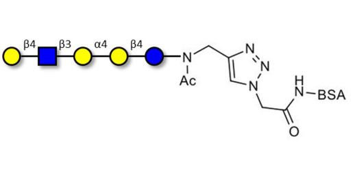 Globopentaose (Gb5) analogue type 2 grafted on BSA (Linker-BSA B) - Gb5 analogue type 2