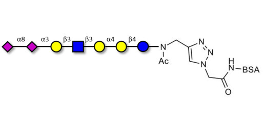 Sialylated Stage-Specific Embryonic Antigen-4 (SSEA-4) hexaose analogue type 1 grafted on BSA (Linker-BSA B) - Sialylated-SSEA-4 hexaose analogue type 1