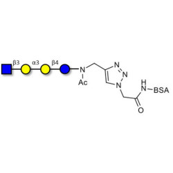 Isoglobotetraose (iGb4) analogue grafted on BSA (Linker-BSA B)