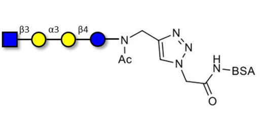 Isoglobotetraose (iGb4) analogue grafted on BSA (Linker-BSA B) - iGb4 analogue