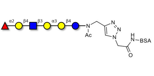 Isoglobo-H analogue type 2 grafted on BSA (Linker-BSA B)