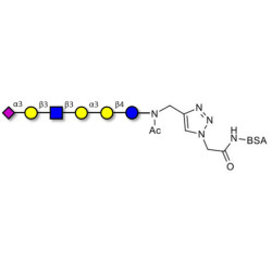 Sialylated isoglobopentaose (Sialylated iGb5) analogue type 1 grafted on BSA (Linker-BSA B)