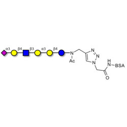 Sialylated isoglobopentaose (Sialylated iGb5) analogue type 2 grafted on BSA (Linker-BSA B)