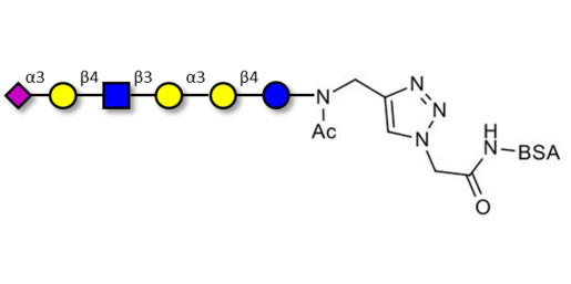 Sialylated isoglobopentaose (Sialylated iGb5) analogue type 2 grafted on BSA (Linker-BSA B) - Sialylated iGb5 analogue type 2
