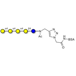 Galα1-4Galα1-4-Globotriose grafted on BSA (Linker-BSA B)