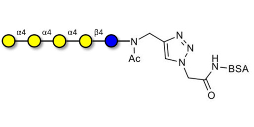 Galα1-4Galα1-4-Globotriose grafted on BSA (Linker-BSA B) - Galα1-4Galα1-4-Gb3