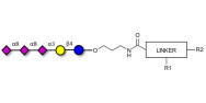 SSEA-4 hexaose-Biotin