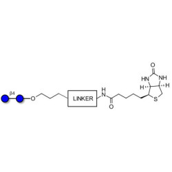 Cellobiose linked to biotin with cleavable linker (Linker-CLBT A)