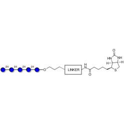 Cellopentaose linked to biotin with cleavable linker (Linker-CLBT A)