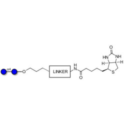 Maltose DP2 linked to biotin with cleavable linker (Linker-CLBT A)