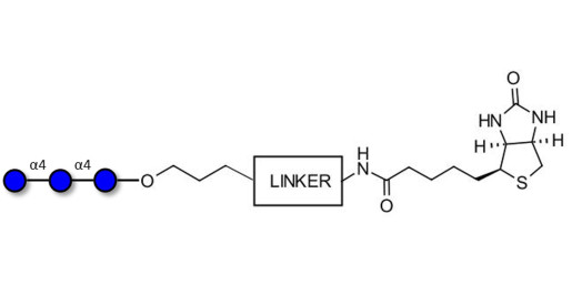 Maltotriose DP3 linked to biotin with cleavable linker (Linker-CLBT A)