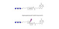 Maltotriose DP3 linked to biotin with cleavable linker (Linker-CLBT A)