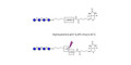 Maltotetraose DP4 linked to biotin with cleavable linker (Linker-CLBT A)