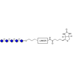 Maltopentaose DP5 linked to biotin with cleavable linker (Linker-CLBT A)