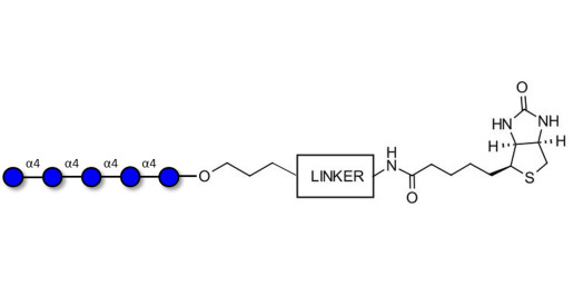 Maltopentaose DP5 linked to biotin with cleavable linker (Linker-CLBT A)