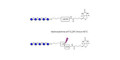 Maltopentaose DP5 linked to biotin with cleavable linker (Linker-CLBT A)
