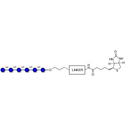 Maltohexaose DP6 linked to biotin with cleavable linker (Linker-CLBT A)