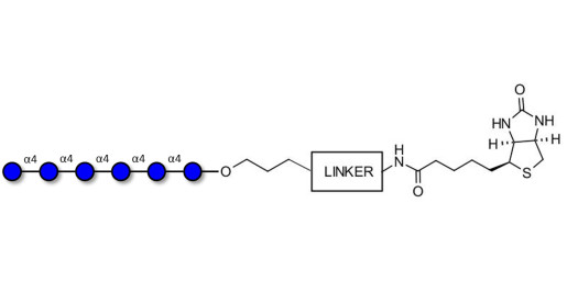 Maltohexaose DP6 linked to biotin with cleavable linker (Linker-CLBT A)