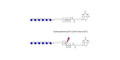 Maltohexaose DP6 linked to biotin with cleavable linker (Linker-CLBT A)