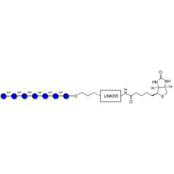Maltoheptaose DP7 linked to biotin with cleavable linker (Linker-CLBT A)