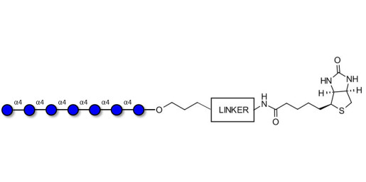 Maltoheptaose DP7 linked to biotin with cleavable linker (Linker-CLBT A)