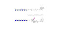 Maltoheptaose DP7 linked to biotin with cleavable linker (Linker-CLBT A)