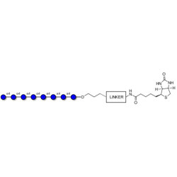 Maltooctaose DP8 linked to biotin with cleavable linker (Linker-CLBT A)
