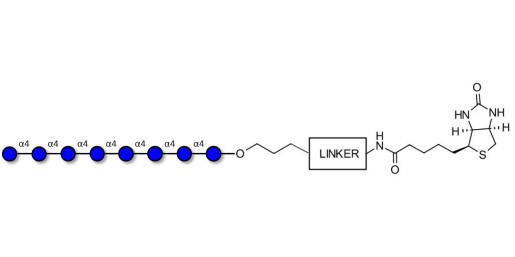Maltooctaose DP8 linked to biotin with cleavable linker (Linker-CLBT A)