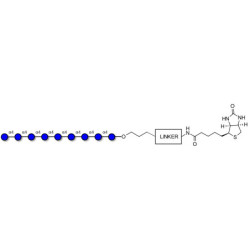 Maltononaose DP9 linked to biotin with cleavable linker (Linker-CLBT A)