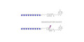Maltononaose DP9 linked to biotin with cleavable linker (Linker-CLBT A)