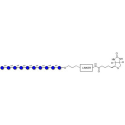 Maltodecaose DP10 linked to biotin with cleavable linker (Linker-CLBT A)
