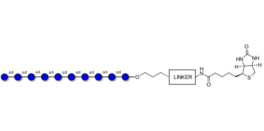 Maltodecaose DP10 linked to biotin with cleavable linker (Linker-CLBT A)